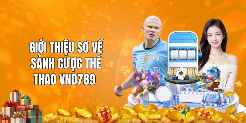 Giới thiệu sơ về sảnh cược thể thao VND789 